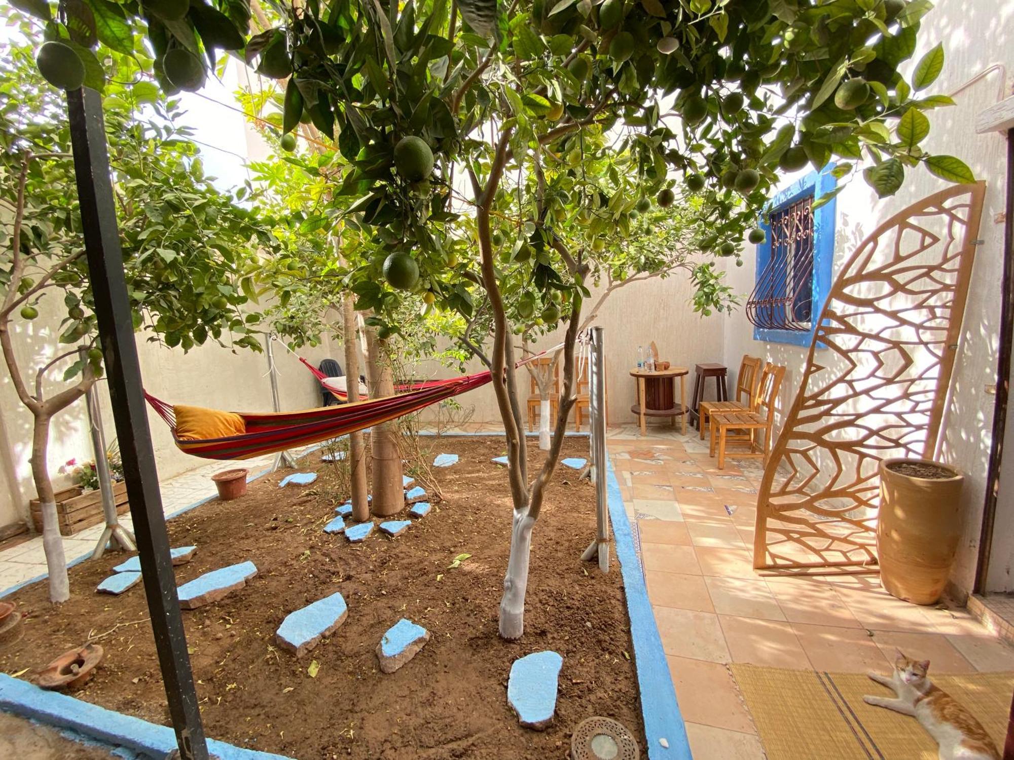 Tamraght Red Carpet Surf Camp Sea, Mountain & Garden Escape酒店 外观 照片
